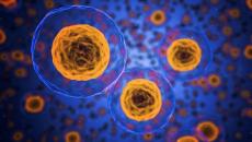 Egypt, cancer diagnosis, digital pathology